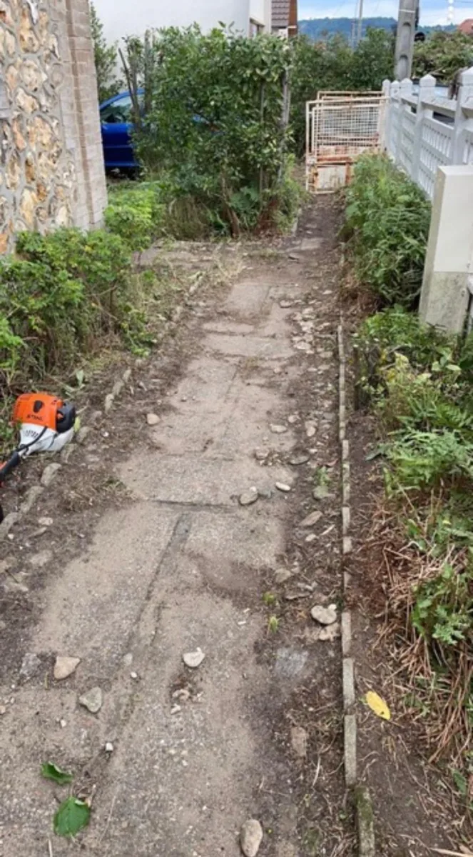 Allée de jardin avant rénovation